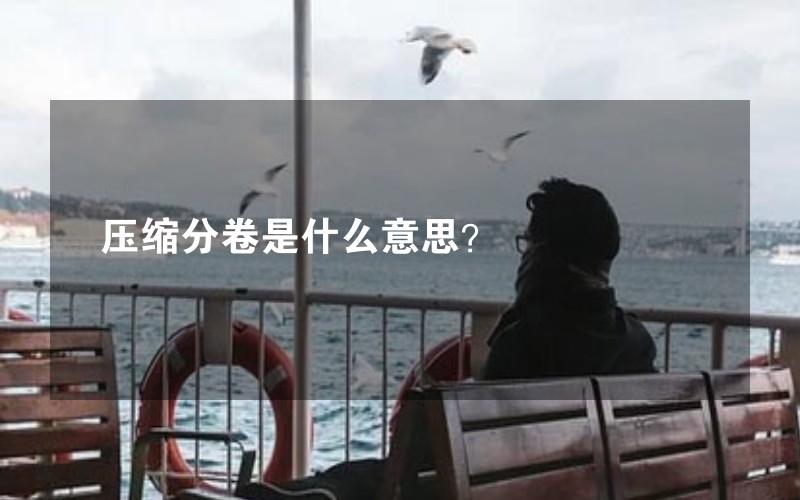 压缩分卷是什么意思？