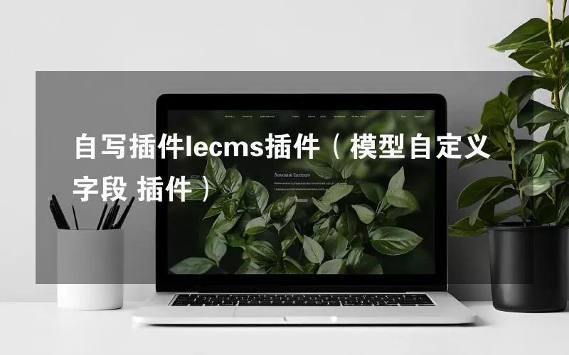 自写插件lecms插件（模型自定义字段 插件）
