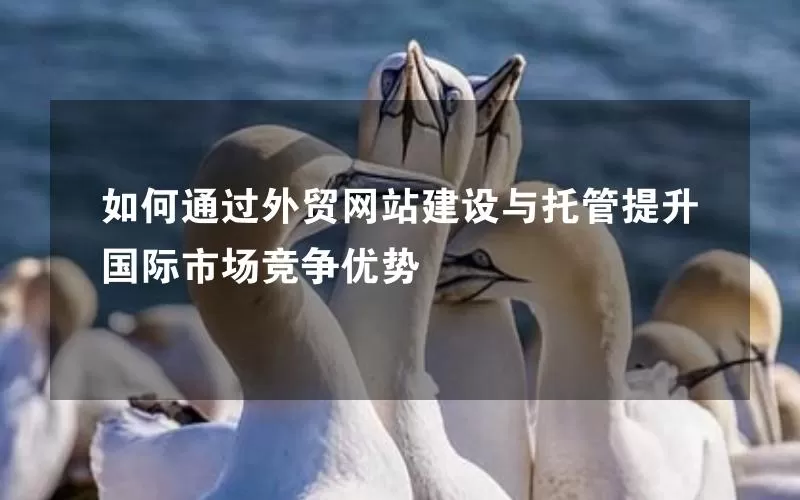 如何通过外贸网站建设与托管提升国际市场竞争优势