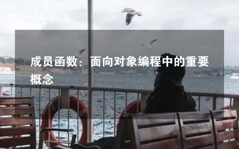 成员函数：面向对象编程中的重要概念