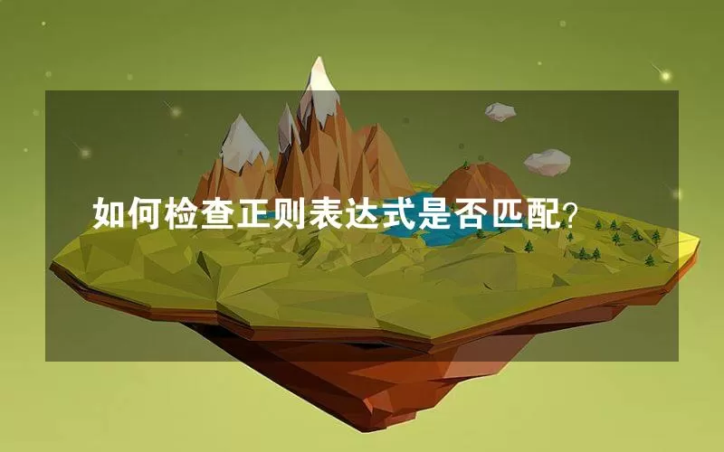 如何检查正则表达式是否匹配？