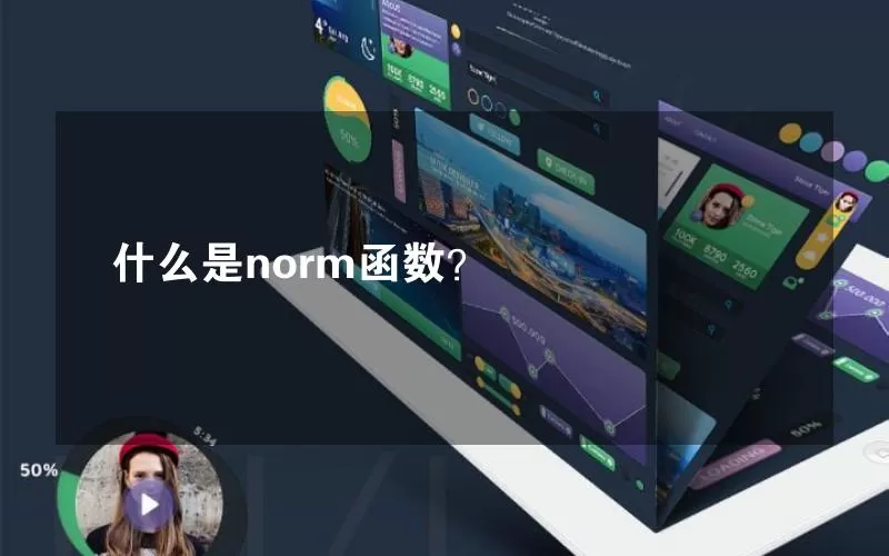 什么是norm函数？