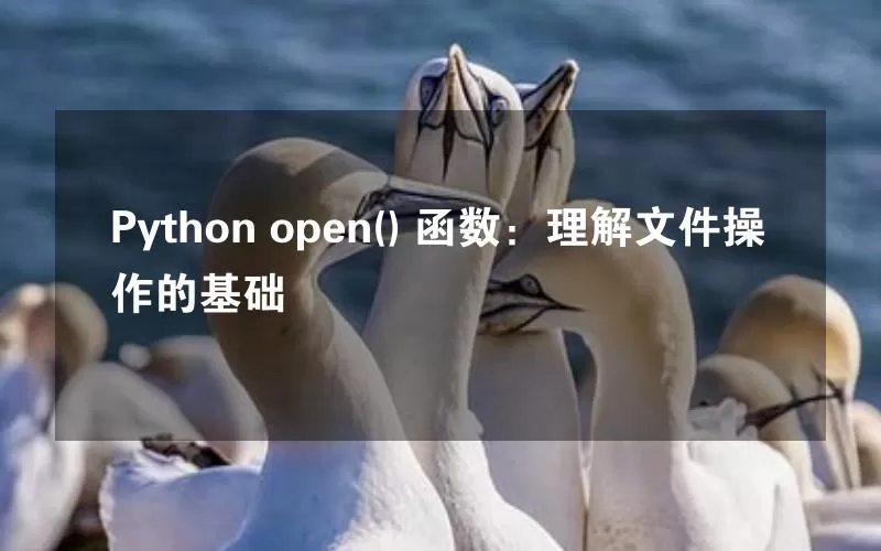 Python open() 函数：理解文件操作的基础