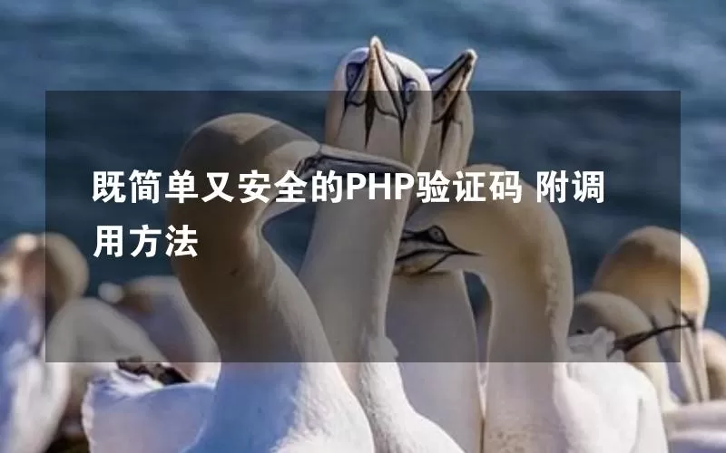 既简单又安全的PHP验证码 附调用方法